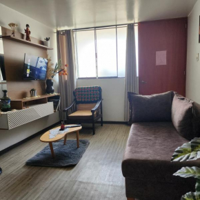 Acogedor APT a 20 min Aeropuerto